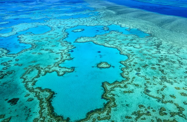 An aerial image of the Great Barrier Reef in Australia