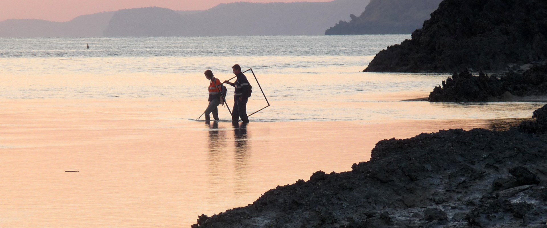 Environmental consultants wading in to the sea to conduct tests