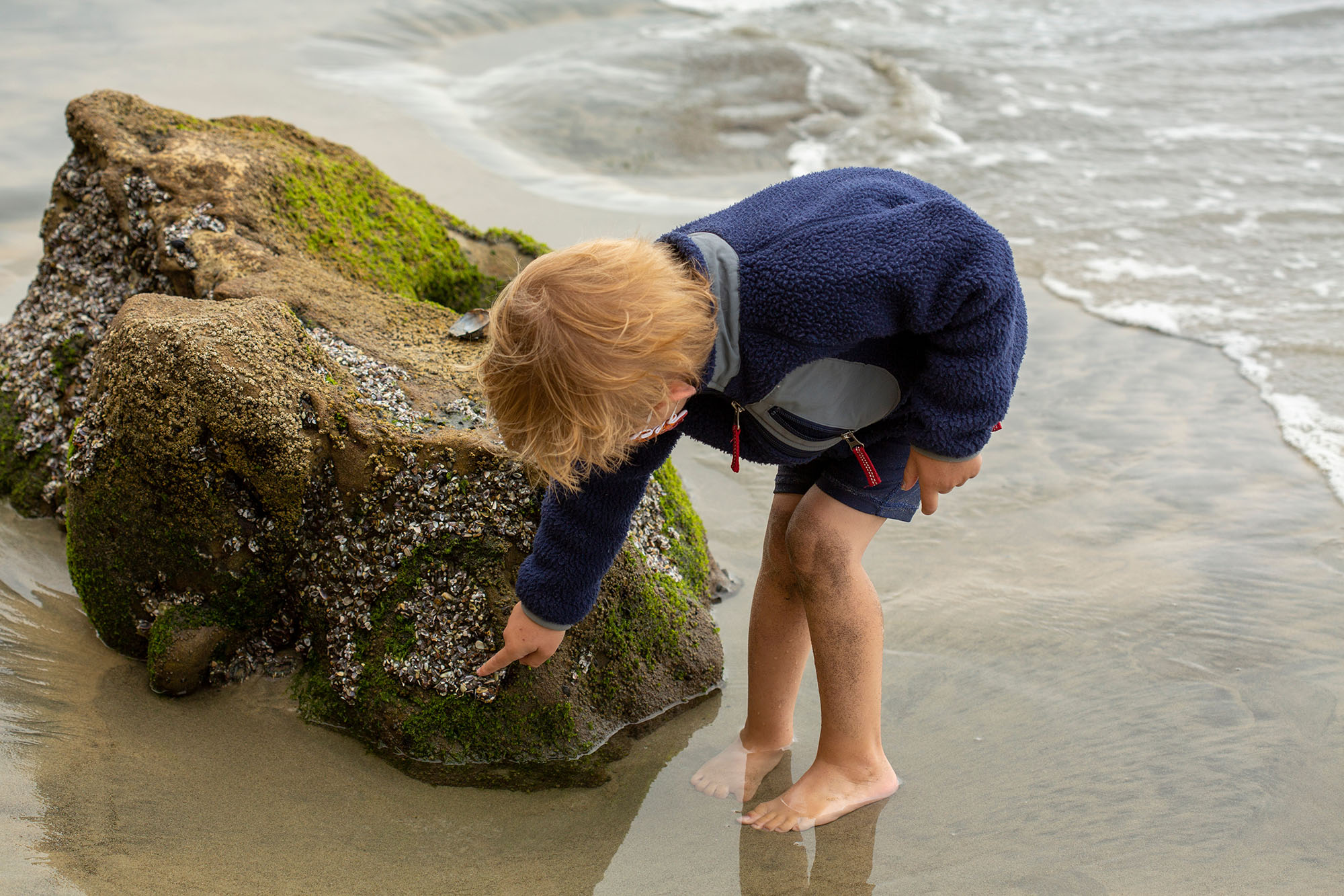 adobestock_362481703