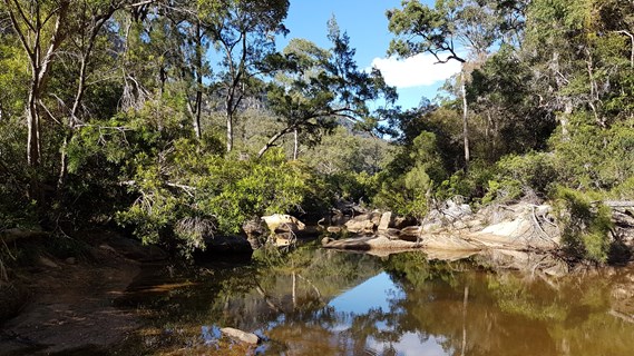 Aquatic ecosystem sampling and analysis