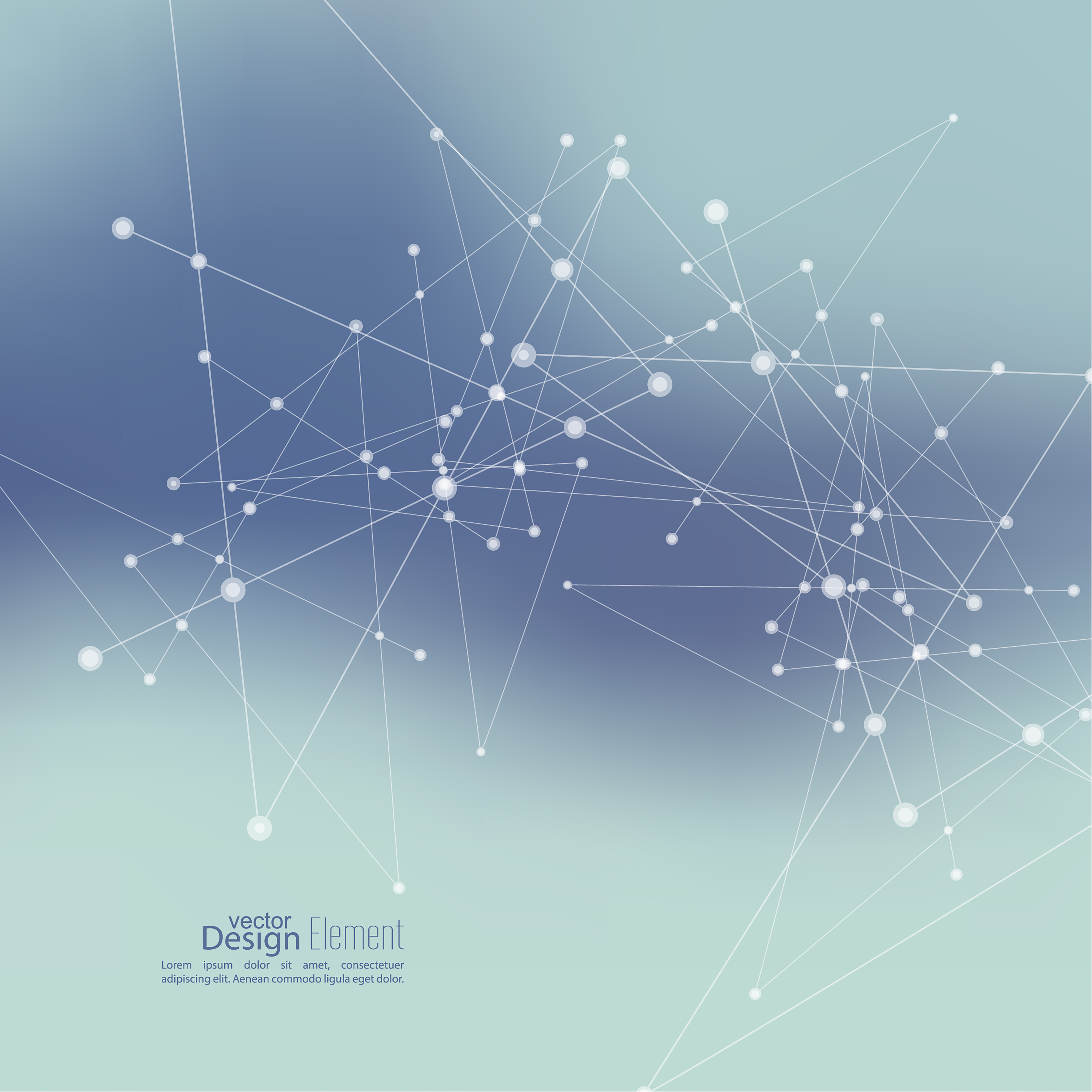 Global surveyor network