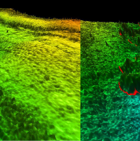 A digital image showing cartography of land
