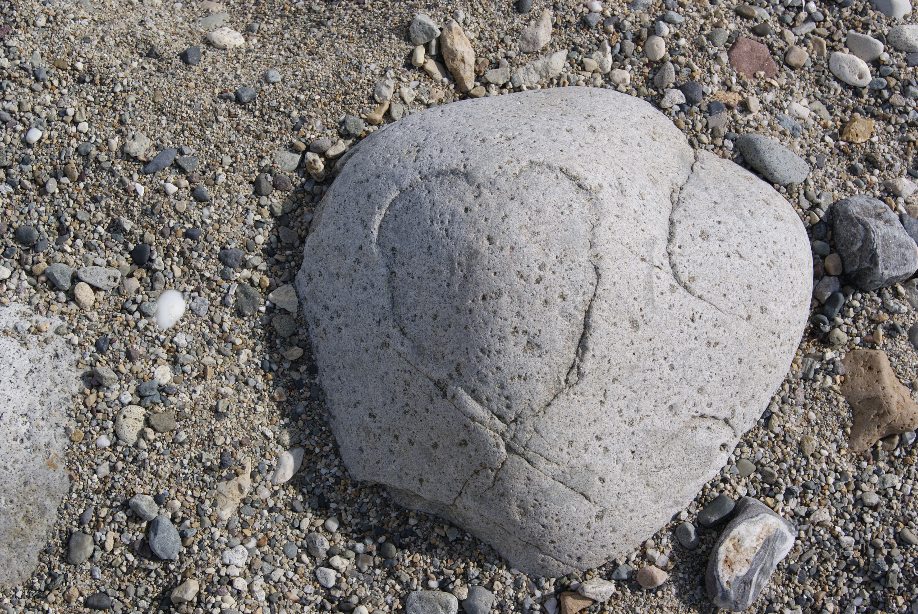 A stone on a beach with a heart shape etched naturally by the erosion of weather