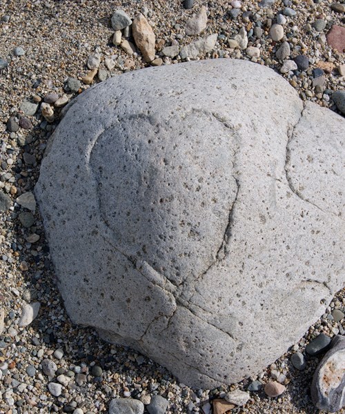 A stone on a beach with a heart shape etched naturally by the erosion of weather