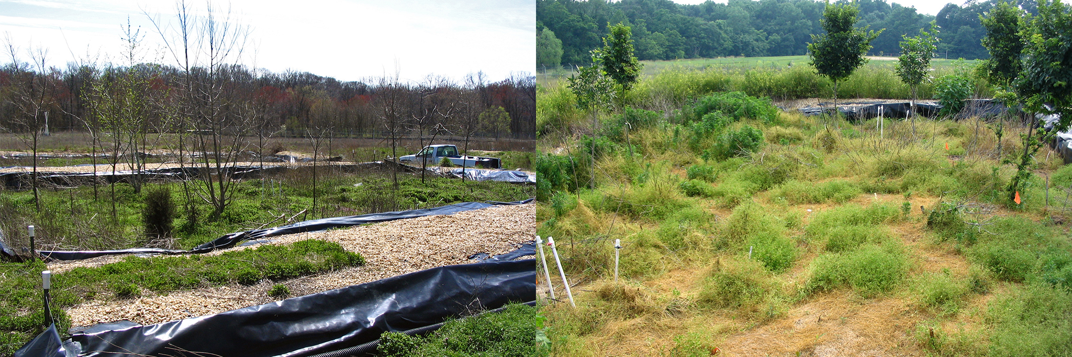 Remediation and Contamination