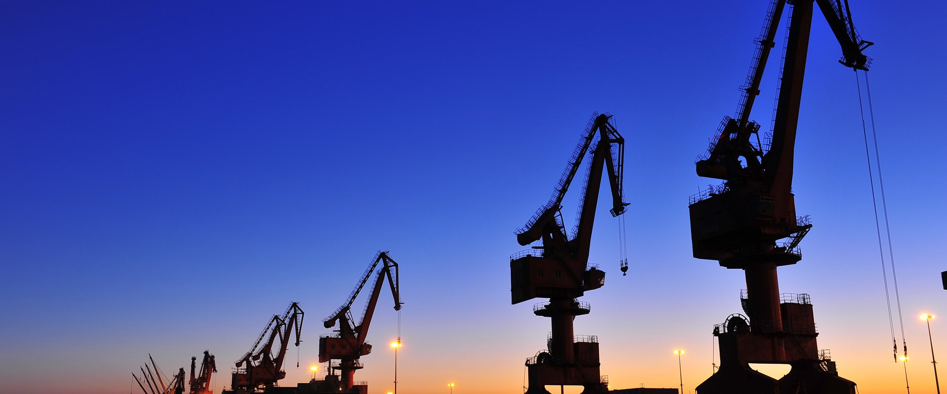 Picture of cranes against a night sky