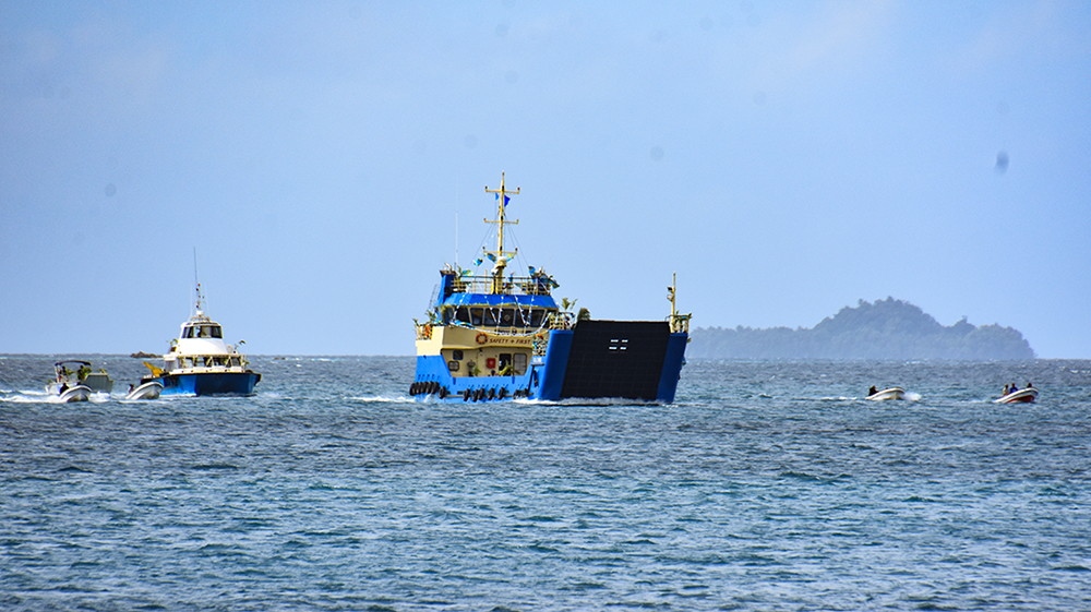 Coconut project - prev