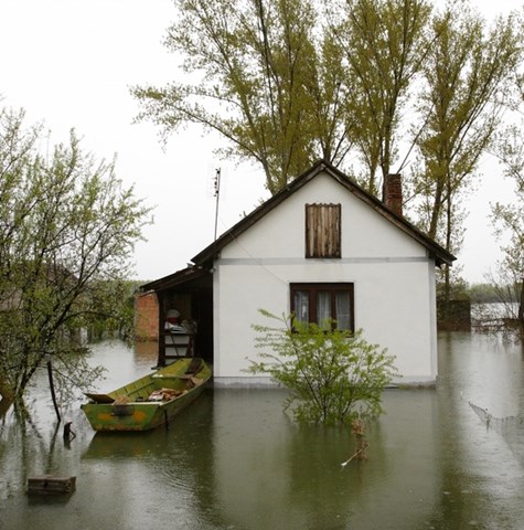 Resilience and Adaptation Planning