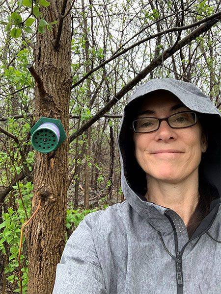 Introducing a Bees Nest