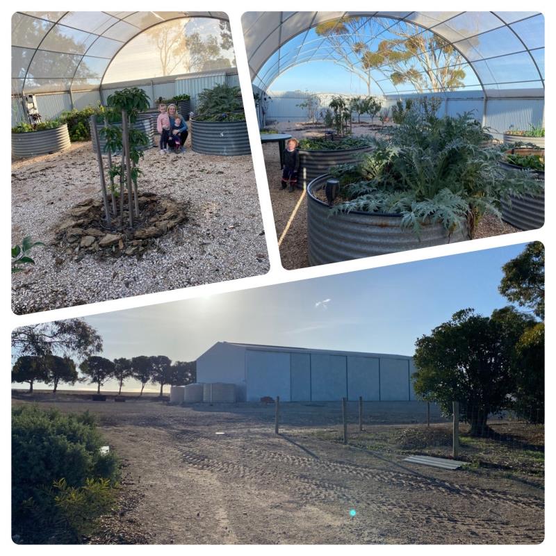 Growing fruit and veg