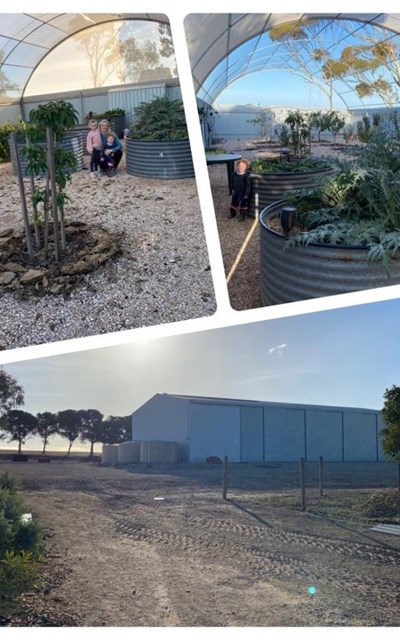 Growing fruit and veg