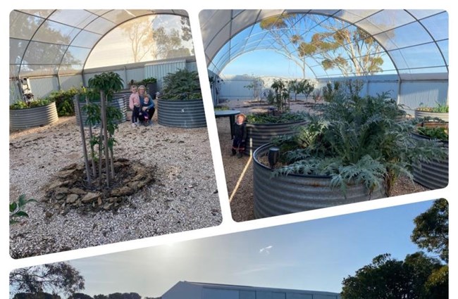 Growing fruit and veg