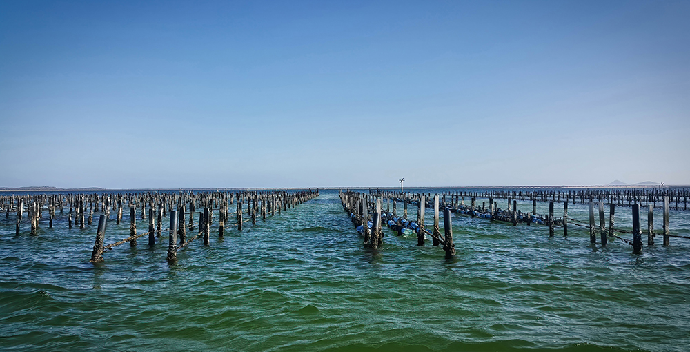 Aquaculture farm