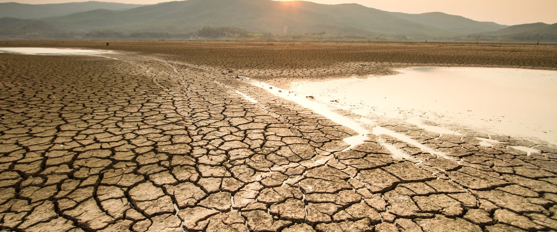 An image of dry land showing cracked earth and drought