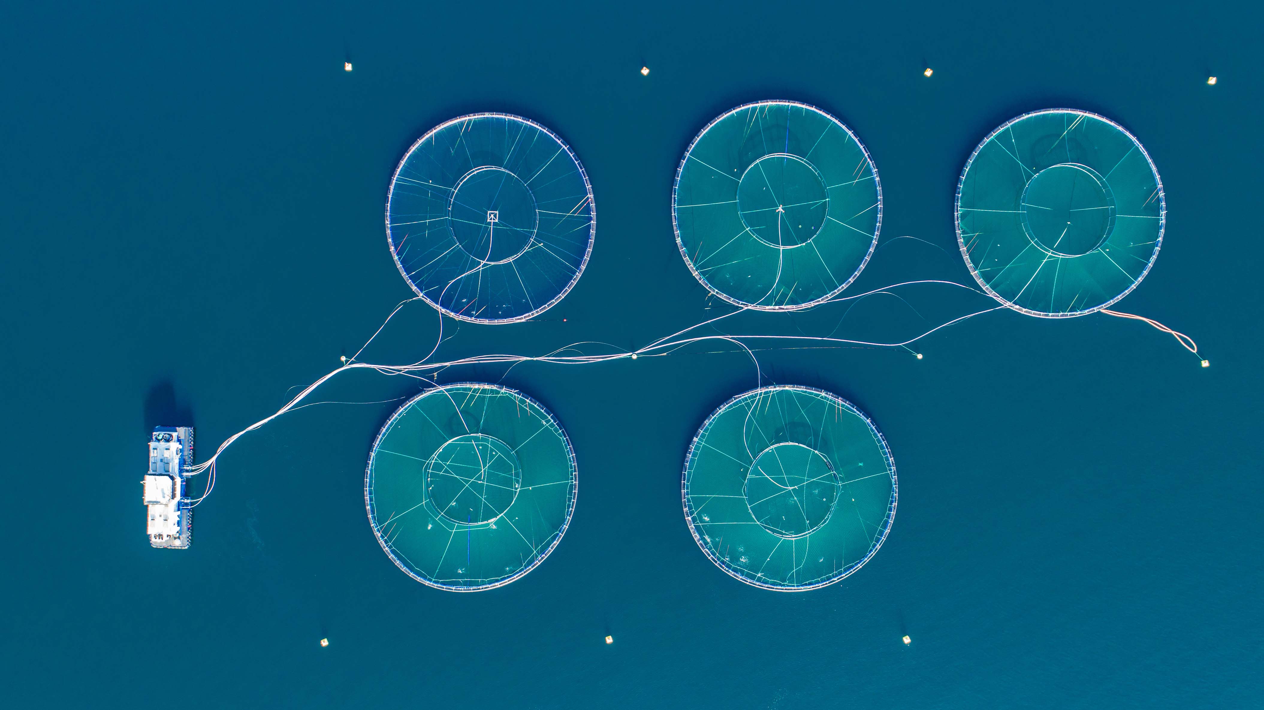 Building capability in renewable energy and aquaculture in the deep ocean