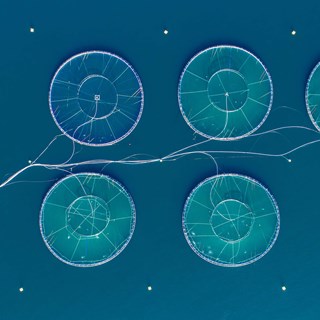 Building capability in renewable energy and aquaculture in the deep ocean