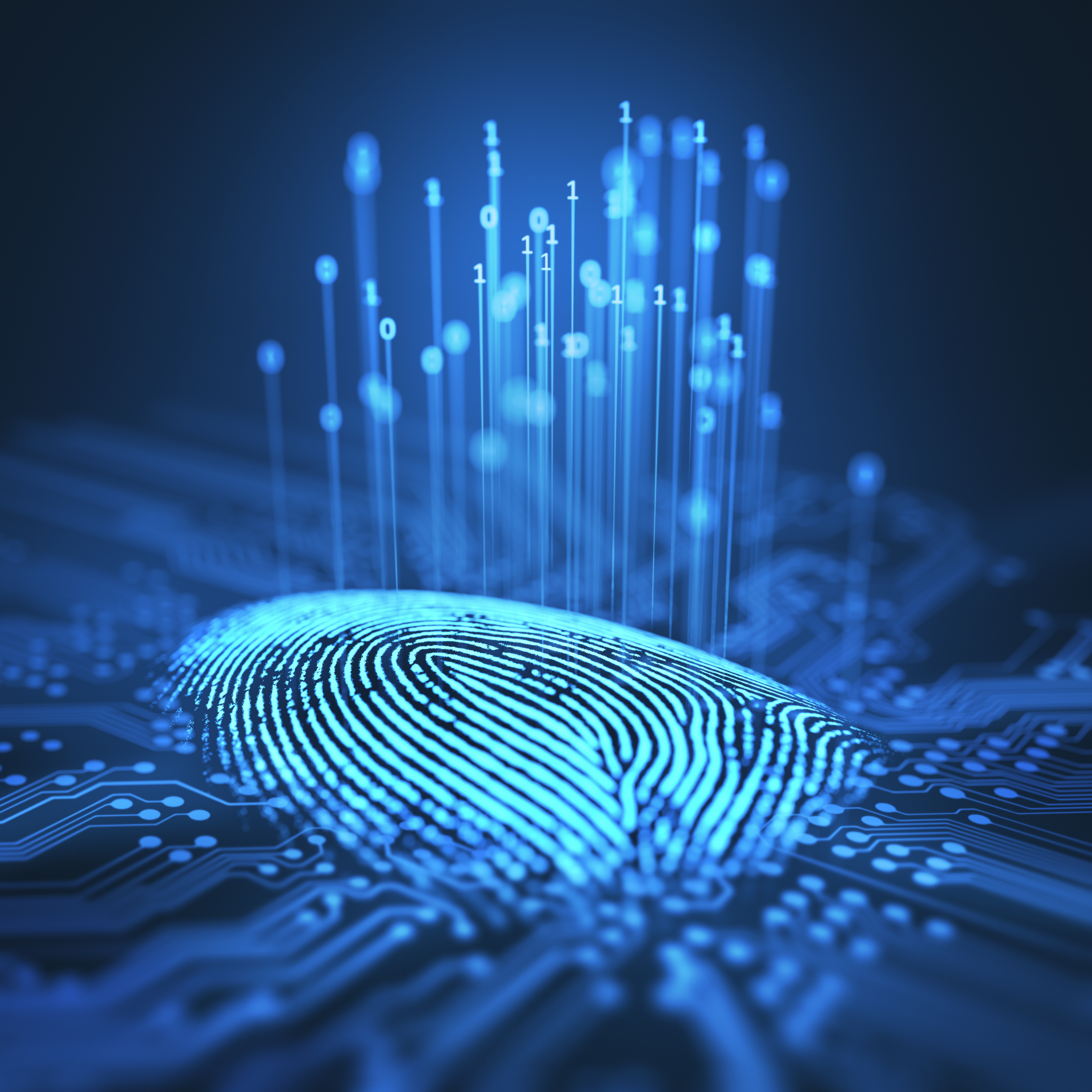 An image of a digital fingerprint