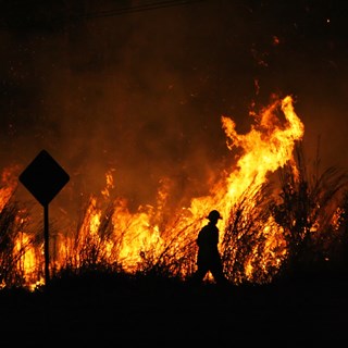 Australia Bush Fires