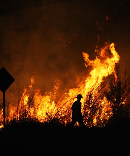 Australia Bush Fires