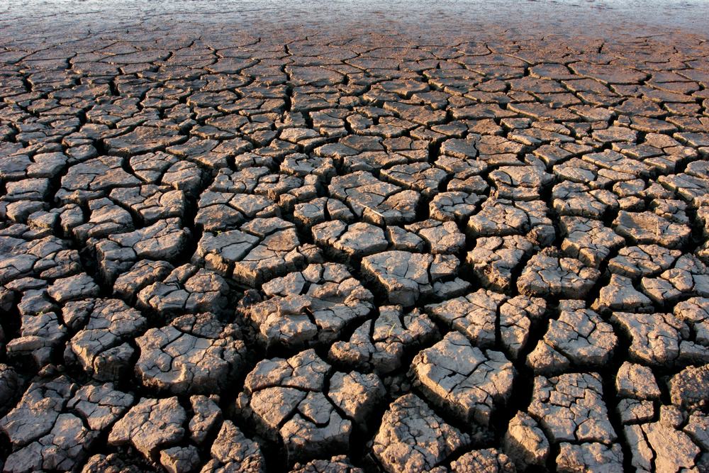 An image showing dry land with cracked earth to depict drought