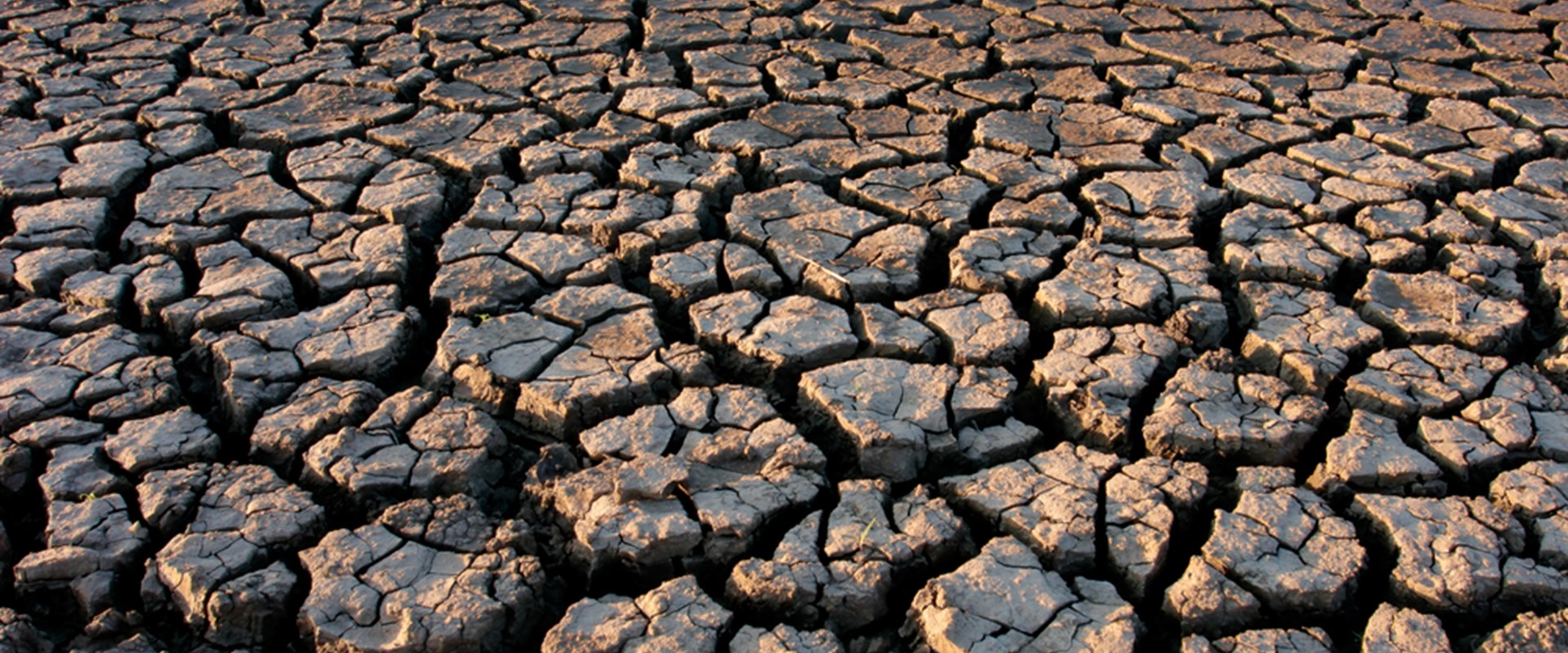 An image showing dry land with cracked earth to depict drought