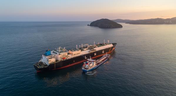 Surveys 3 - LNG tanker near island