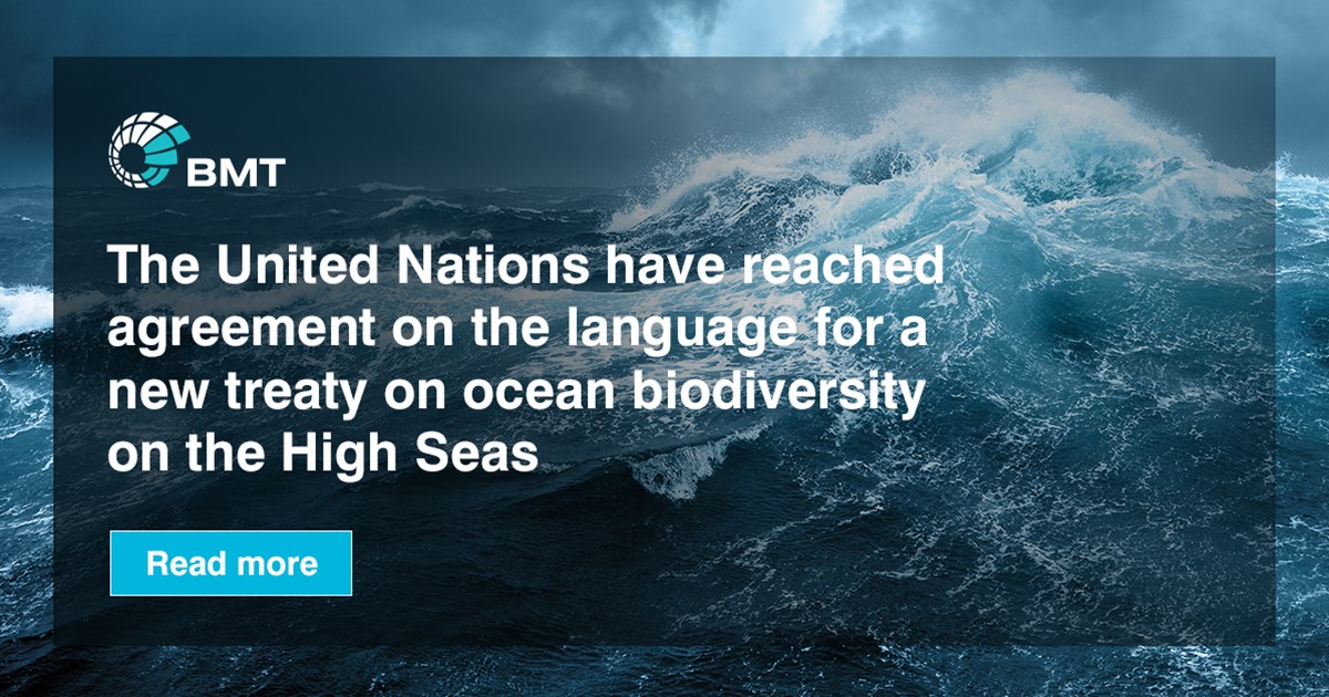 High Seas Treaty 2025 Mimi Susann