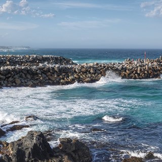 shutterstock_1421132984