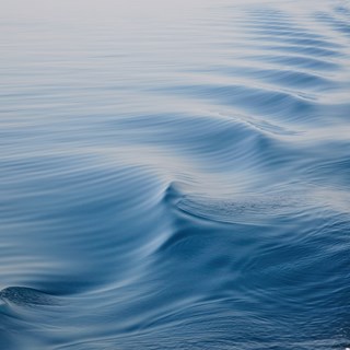 6302-adobestock_55300921