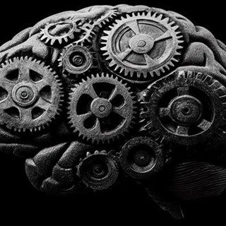 Systems Thinking